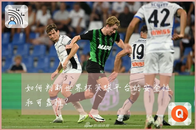 如何判断世界杯买球平台的安全性和可靠性？