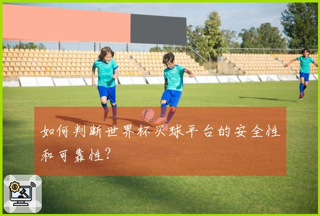 如何判断世界杯买球平台的安全性和可靠性？