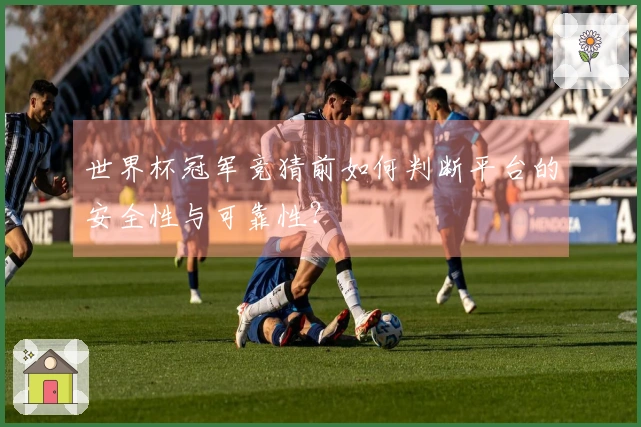 世界杯冠军竞猜前如何判断平台的安全性与可靠性？