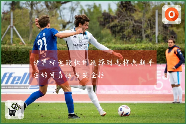 世界杯竞猜软件选择时怎样判断平台的可靠性与安全性