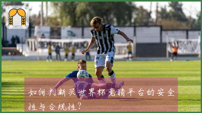 如何判断买世界杯竞猜平台的安全性与合规性？