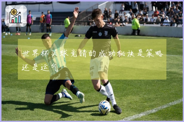 世界杯买球竞猜的成功秘诀是策略还是运气