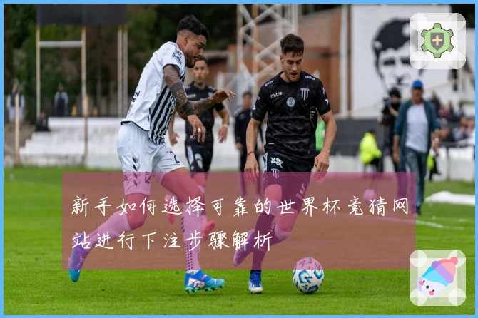 新手如何选择可靠的世界杯竞猜网站进行下注步骤解析