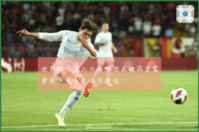 世界杯下注入口有哪些关键因素需要用户重点关注与评估