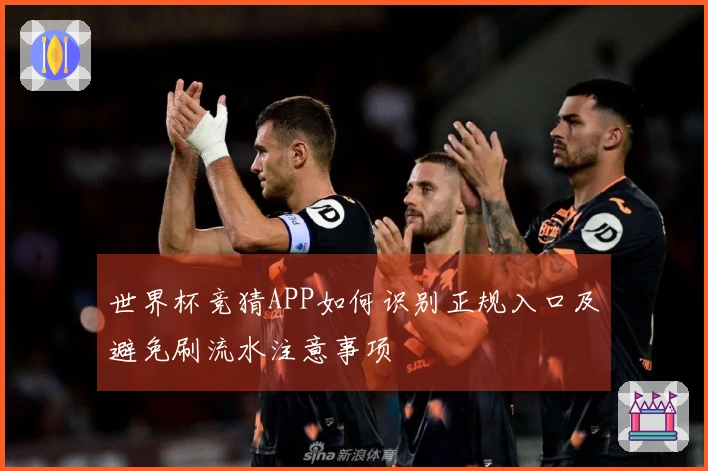 世界杯竞猜APP如何识别正规入口及避免刷流水注意事项