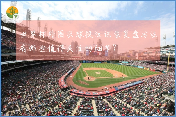 世界杯外围买球投注记录复盘方法有哪些值得关注的细节？