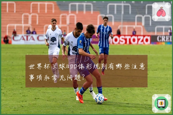 世界杯买球app体彩规则有哪些注意事项和常见问题？
