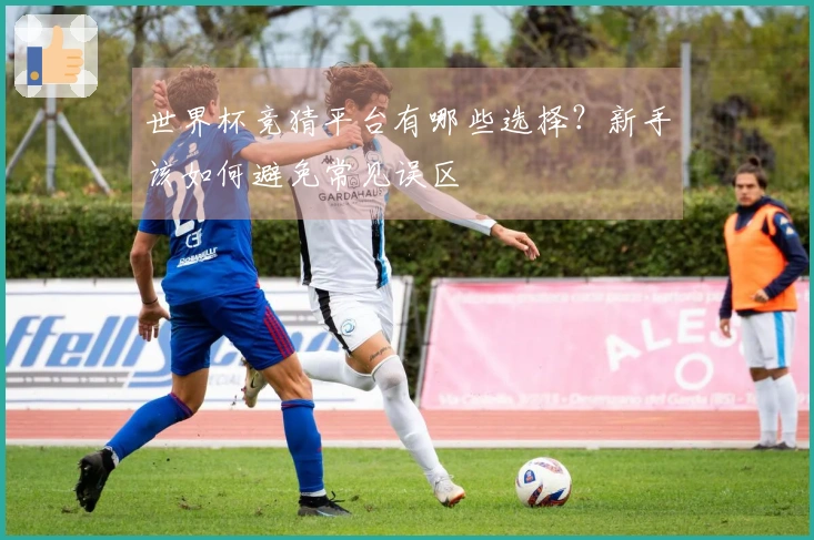 世界杯竞猜平台有哪些选择？新手该如何避免常见误区