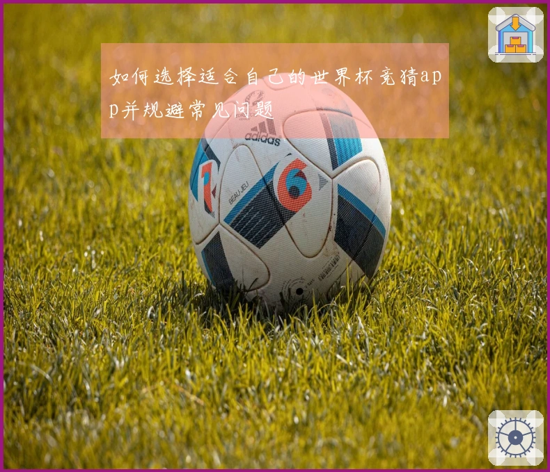 如何选择适合自己的世界杯竞猜app并规避常见问题
