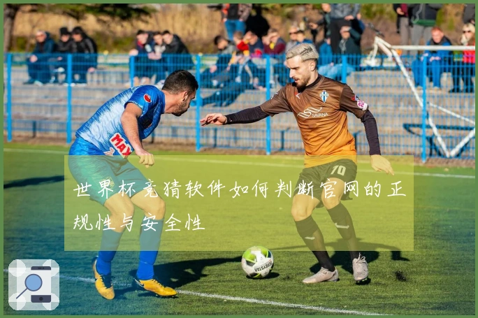 世界杯竞猜软件如何判断官网的正规性与安全性