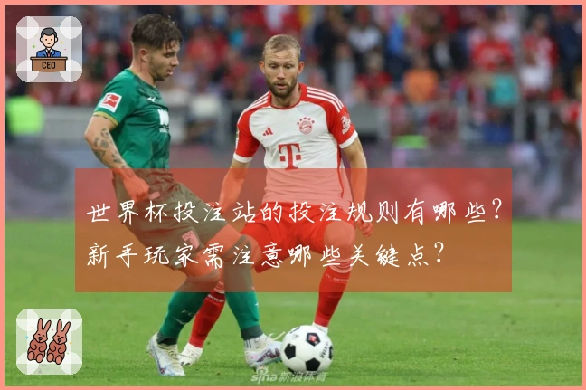 世界杯投注站的投注规则有哪些？新手玩家需注意哪些关键点？