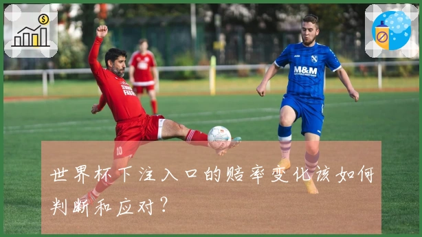世界杯下注入口的赔率变化该如何判断和应对？