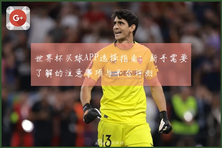 世界杯买球APP选择指南：新手需要了解的注意事项与平台评测