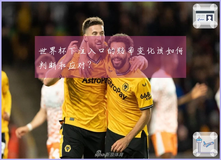 世界杯下注入口的赔率变化该如何判断和应对？