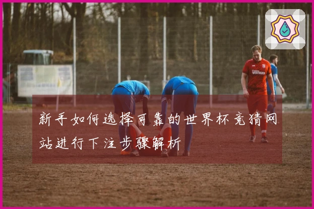 新手如何选择可靠的世界杯竞猜网站进行下注步骤解析